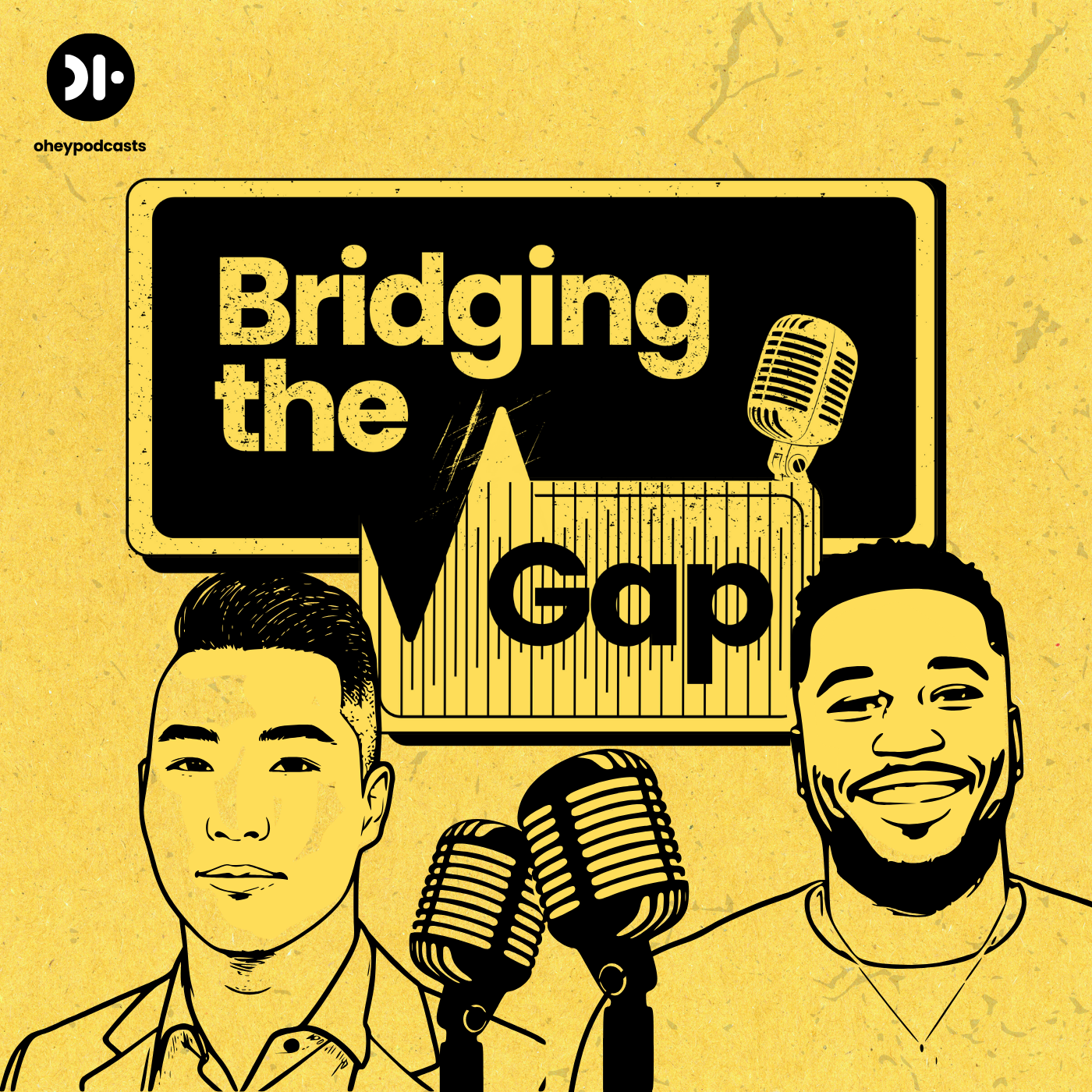Bridging the Gap Podcast